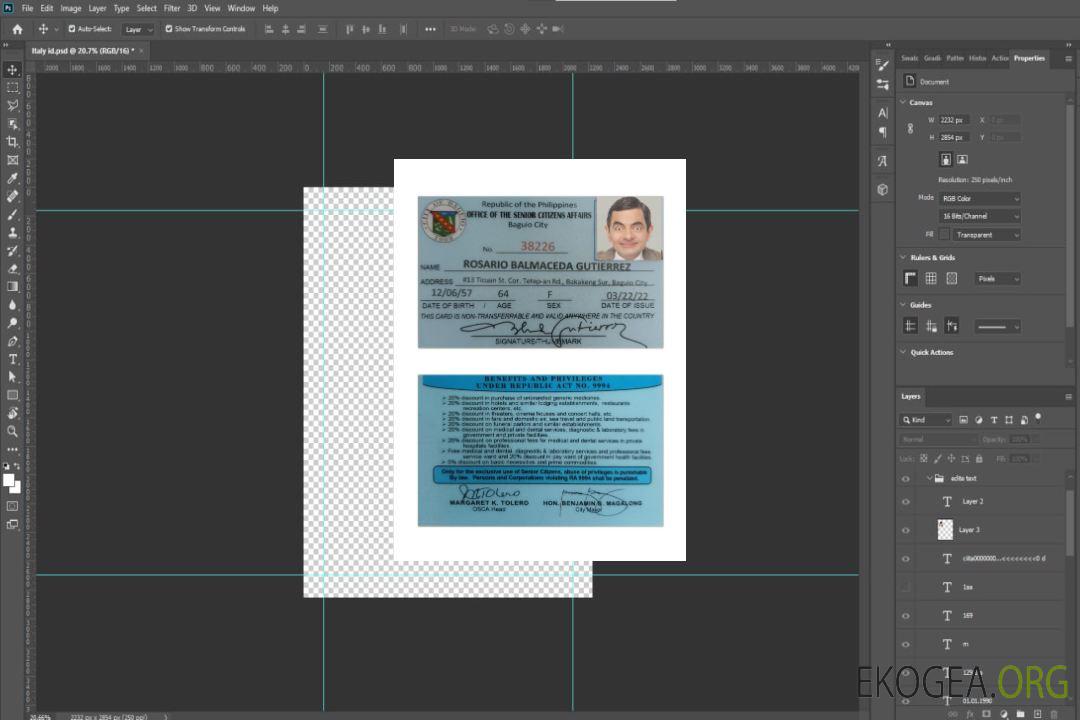 Carte des affaires des citoyens des Philippines template